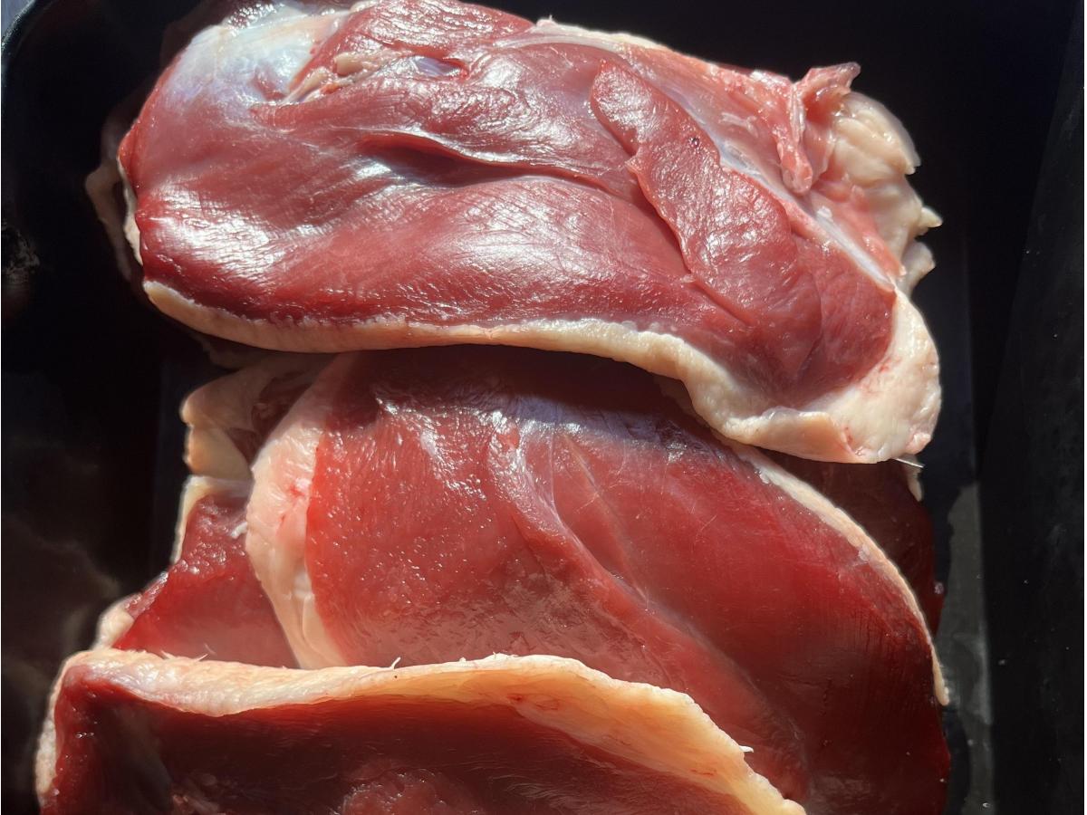 Filet de Canette